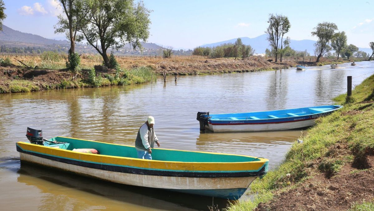 Trabajos de limpieza y desazolve permitieron localizar tres nuevos manantiales en el lago de Pátzcuaro. | Especial