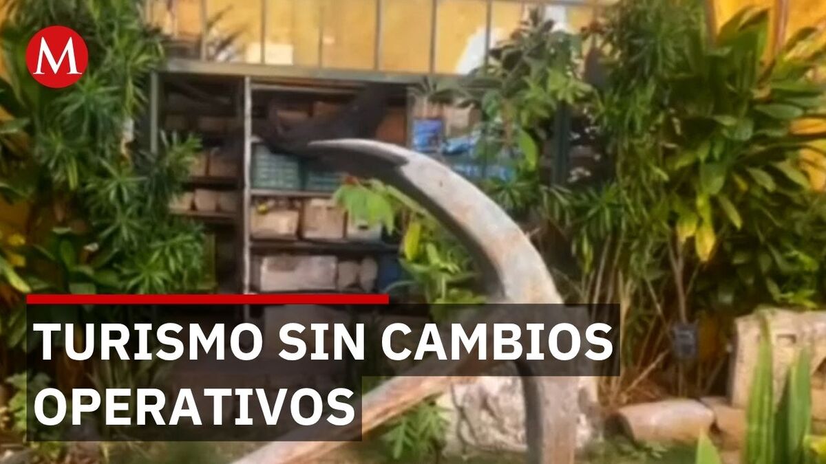 Zonas arqueológicas de Campeche operan con normalidad tras crisis en Teotihuacán