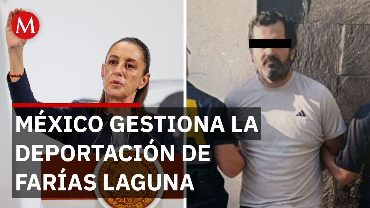 Tras caer por ficha de Interpol, México acelera la deportación de Farías Laguna