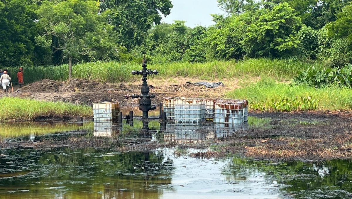 El crudo ya alcanzó la laguna Mezcalapa, provocando la muerte de especies y amenazando el sustento de 400 familias. | Foto: Fluvio Cesar Martínez
