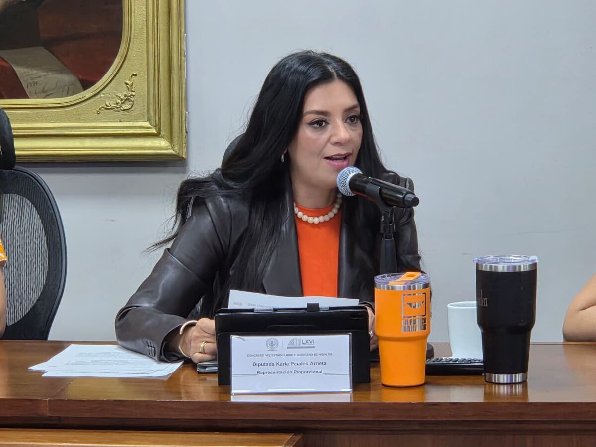 Diputada Karla Perales. (Cortesía)