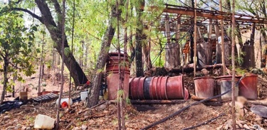 El gobierno de México ofreció información sobre los resultados más relevantes de la Operación Frontera Norte.