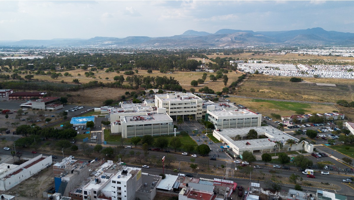 Hospital de Alta Especialidad del Bajío: trasplante de médula ósea  | Especial