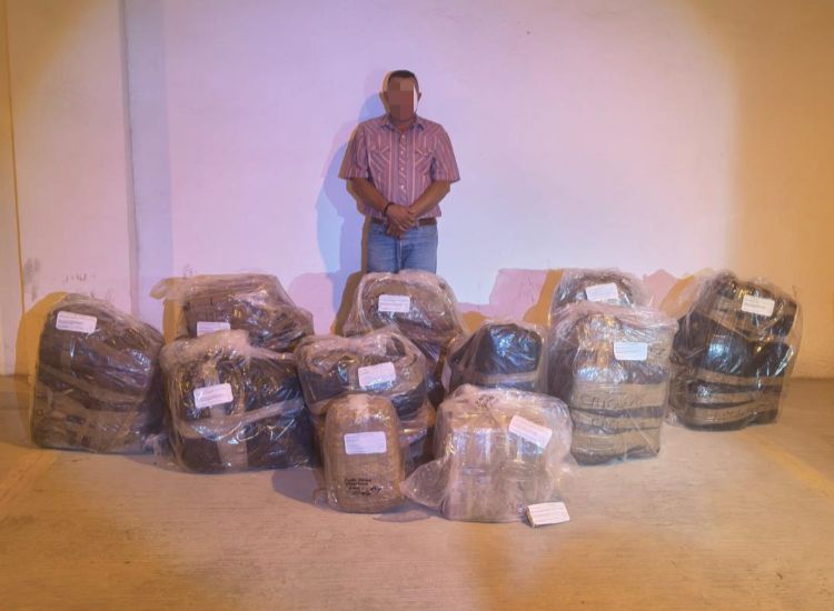 En La Laguna, aseguran 190 kilos de marihuana. | Milenio Policía