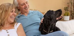 La convivencia con perros reduce el estrés, mejora la salud cardiovascular y combate la soledad según estudios científicos recientes.