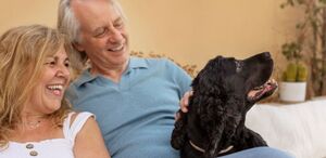 La convivencia con perros reduce el estrés, mejora la salud cardiovascular y combate la soledad según estudios científicos recientes.