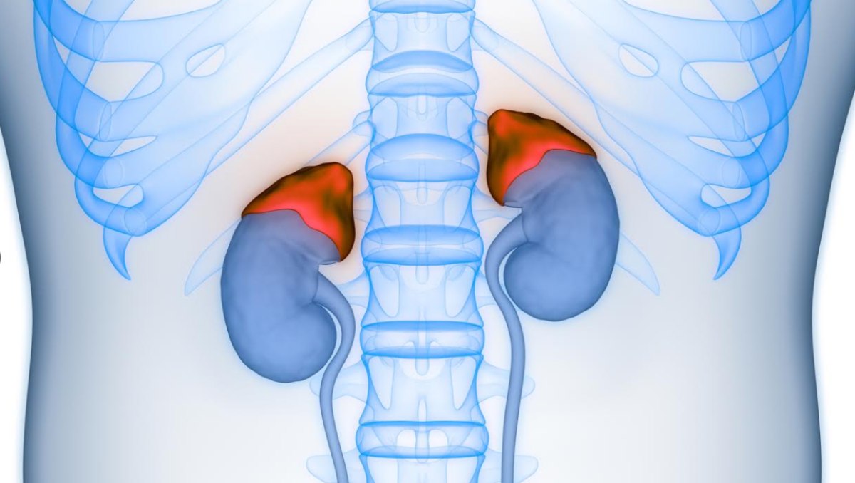 La nueva era en cirugía de cáncer suprarrenal con tecnología robótica de última generación (Foto: Shutterstock)