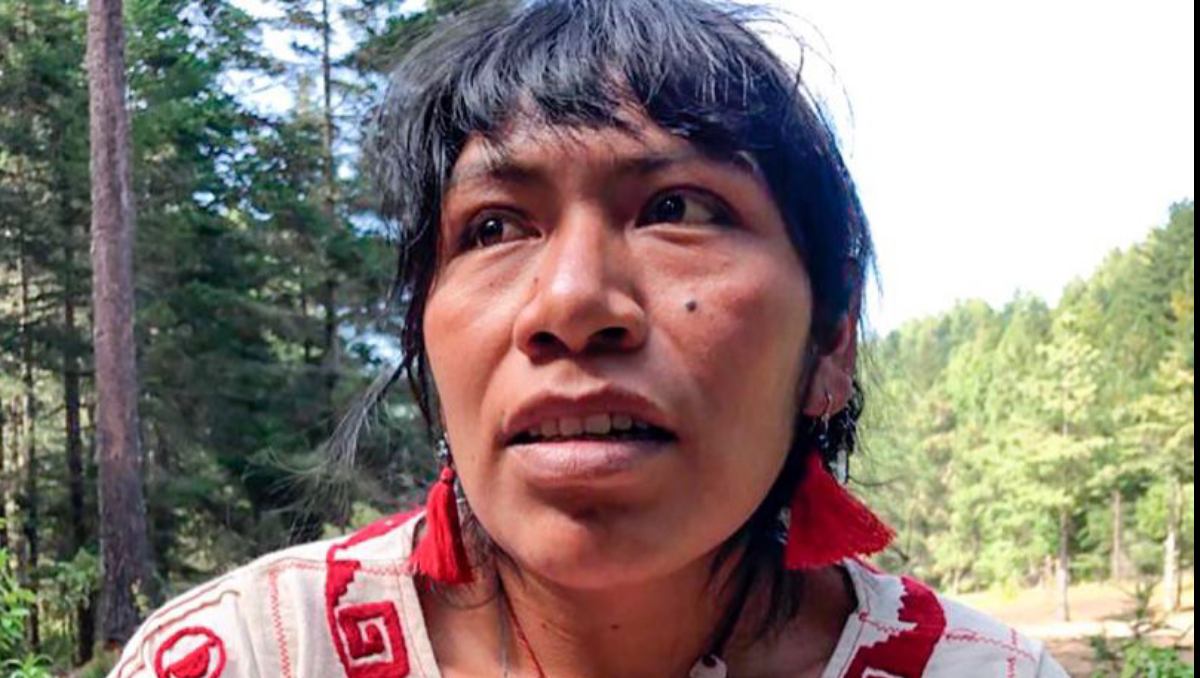Destaca el caso desaparición forzada de la ambientalista mixteca Irma Galindo. | Foto: Especial