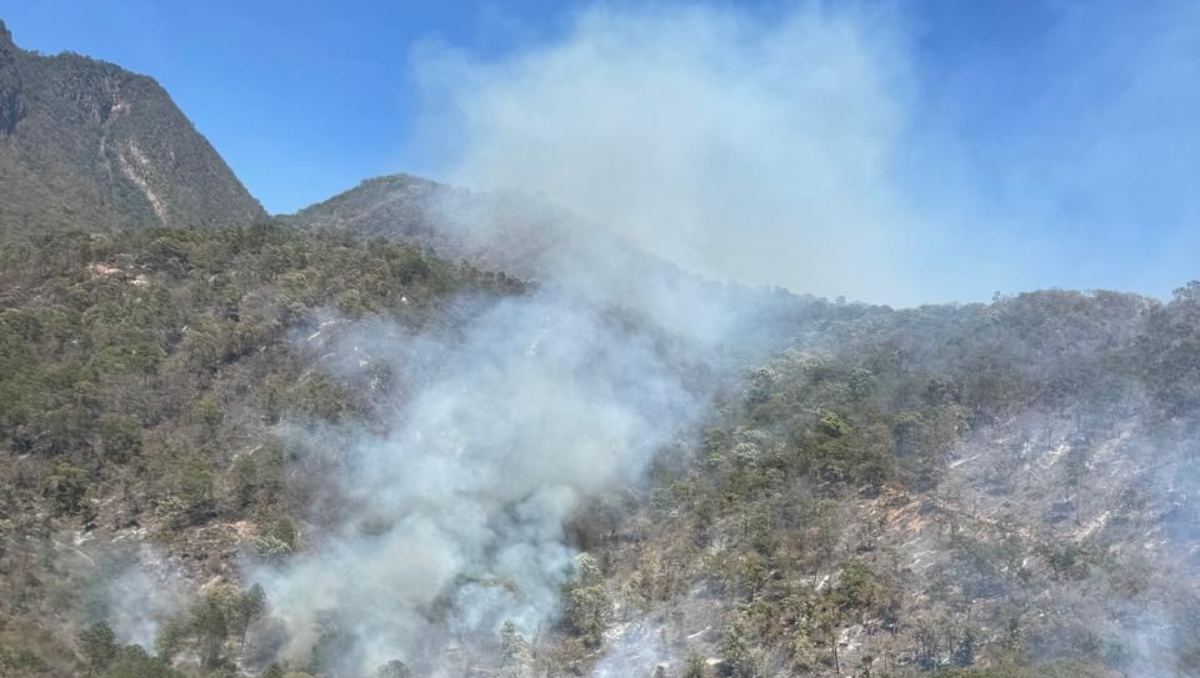 Un incendio se registra en el paraje de La Joya de las Burras, en el municipio de Mascota (Foto: Cortesía)