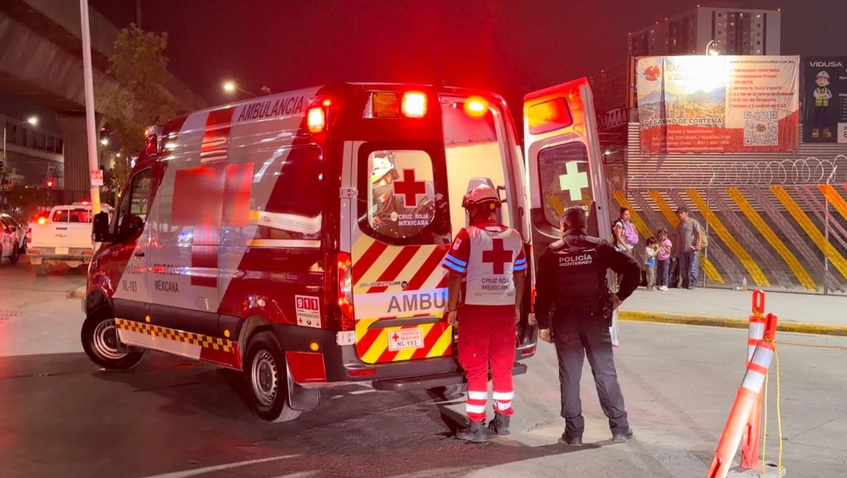 Paramédicos de la Cruz Roja lo trasladaron a un hospital con un impacto en la pierna.