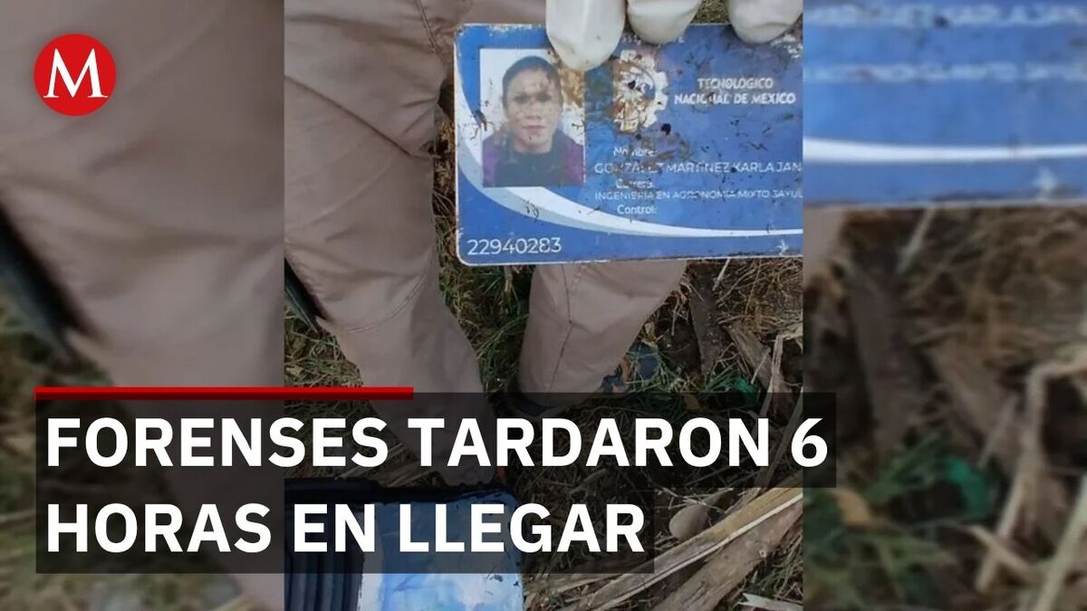 Hallan identificaciones en fosa clandestina de Jalisco