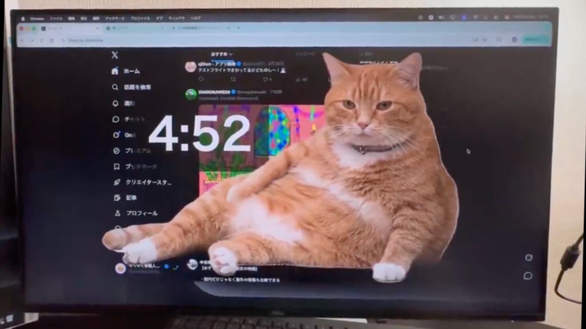 ¿Pasas horas frente a la PC? Este gato gigante te hará parar