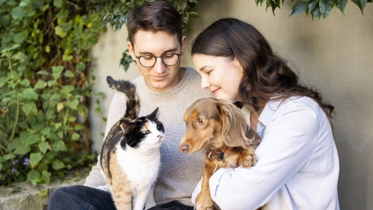 La propuesta obligaría a las parejas a definir el cuidado y la convivencia de sus mascotas | Especial
