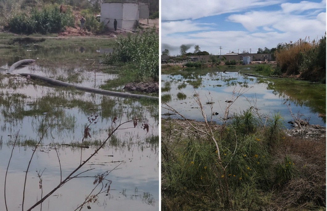 Las Vegas, al norte de San Pedro, se han convertido en un pantano de aguas negras | Damián Ramírez