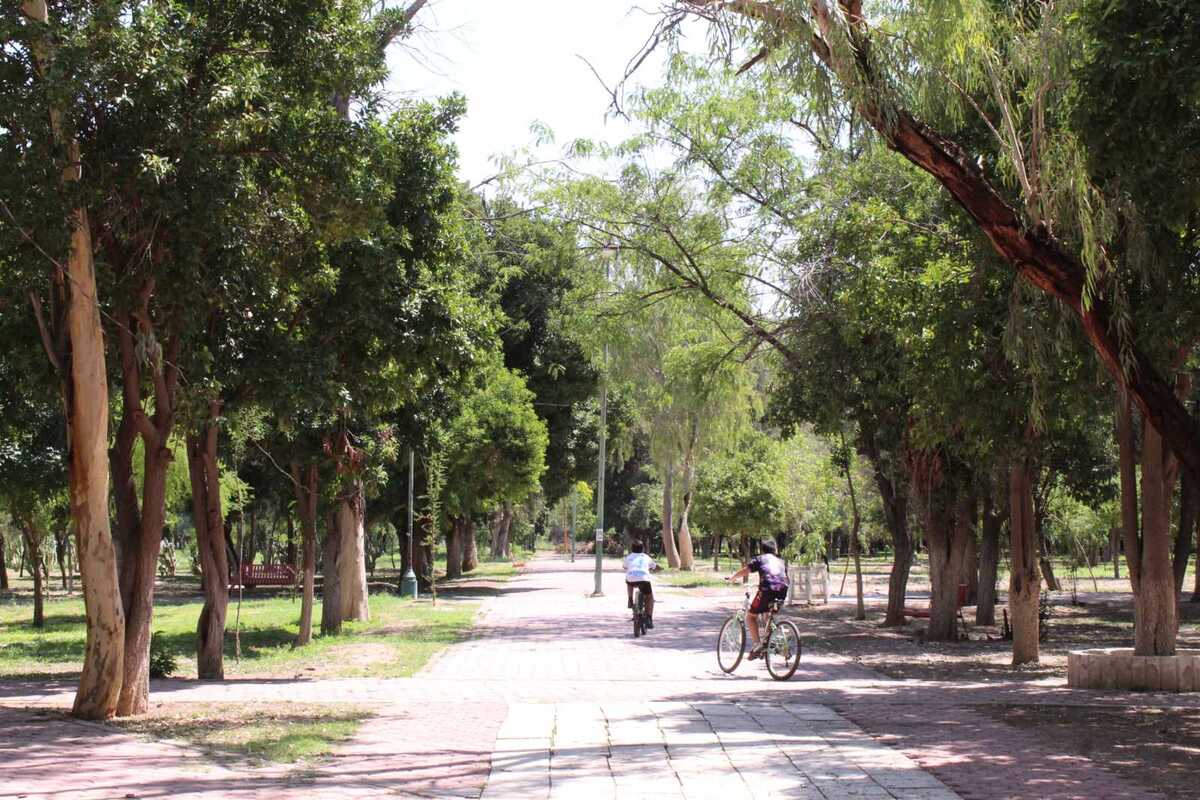 Autoridades acuerdan coordinar reglamentos y acciones conjuntas para fortalecer programas ambientales, reforestación y participación.| Roberto Amaya.