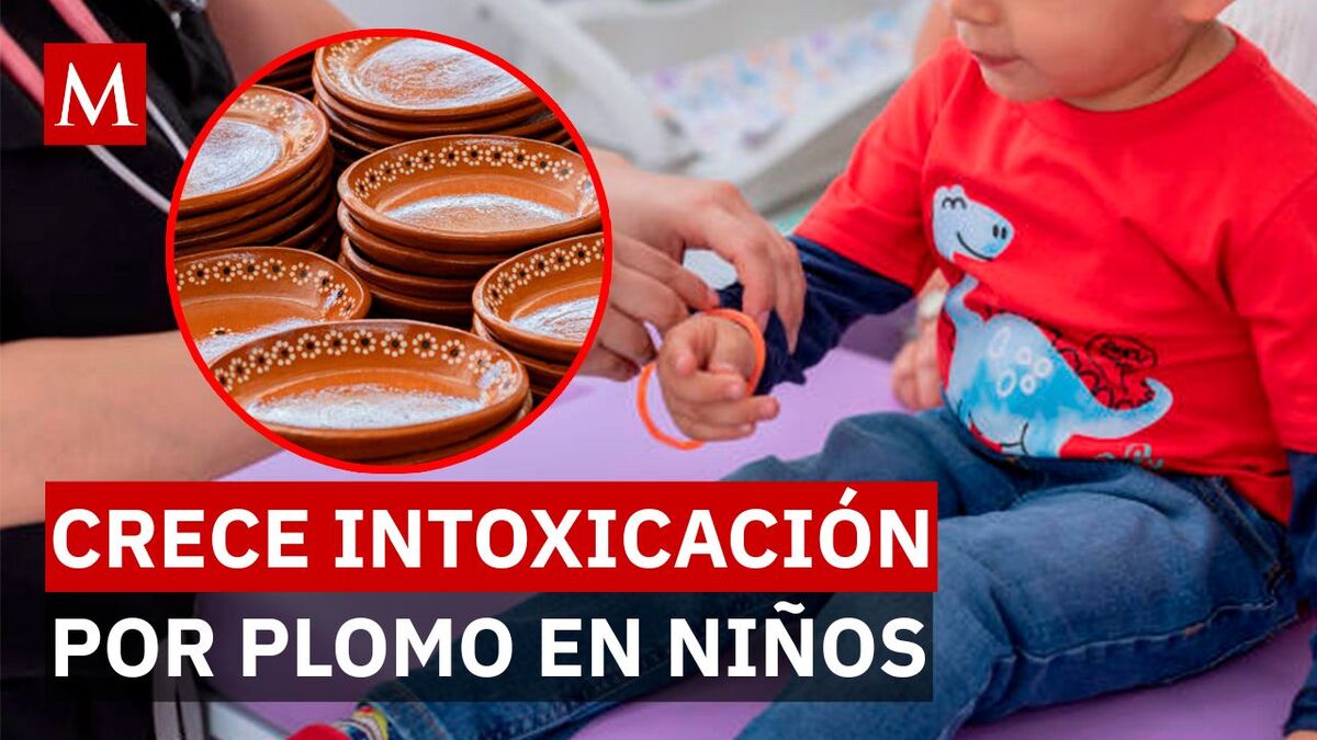 El enemigo silencioso en la mesa: Por qué el barro y la industria dañan a tus hijos