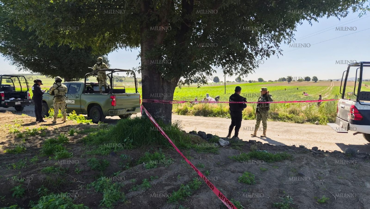 Hallan cadáver con huellas de extrema violencia en límites de Santa Isabel Cholula y Tecuanipan | JZ