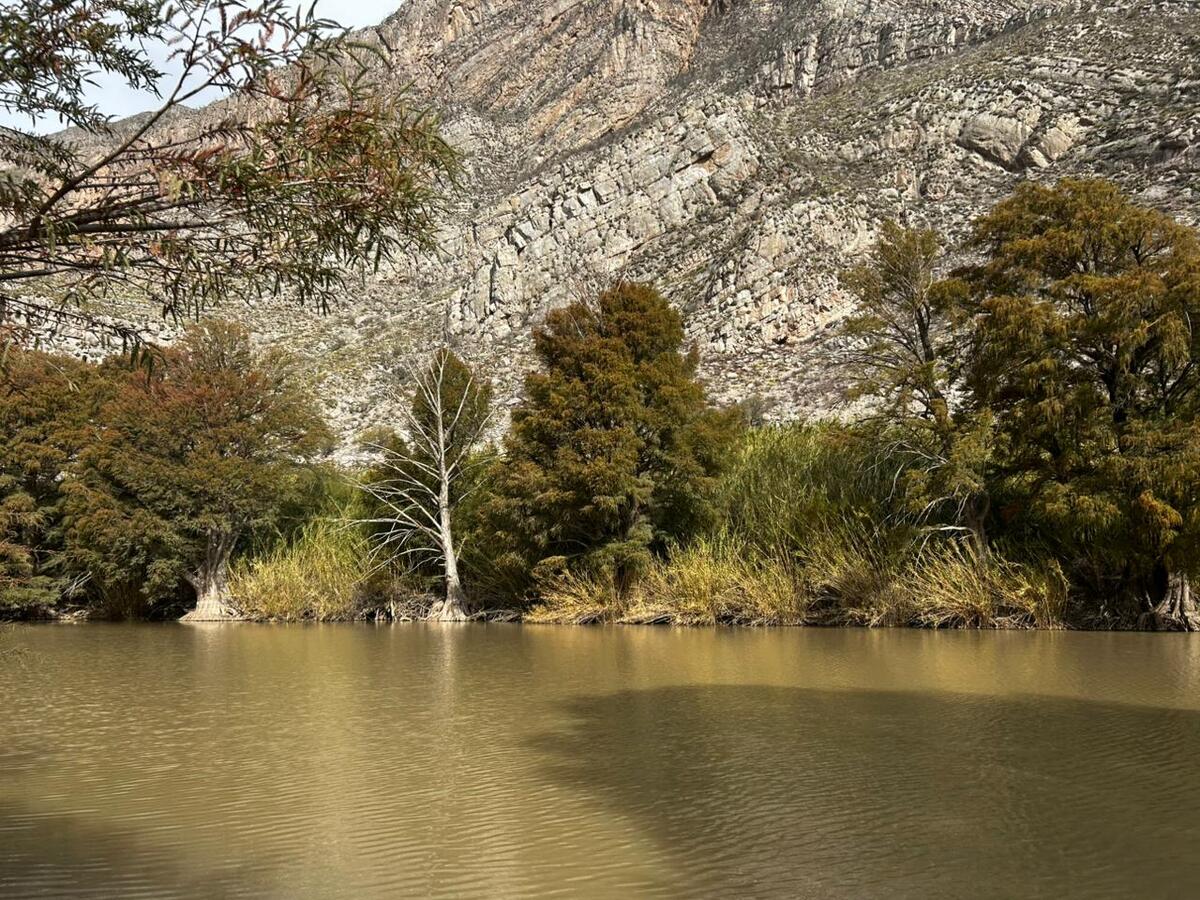 Investigación propone usar la planta como nutriente de suelo y biocarbón, generando ingresos en comunidades rurales.|Especial.