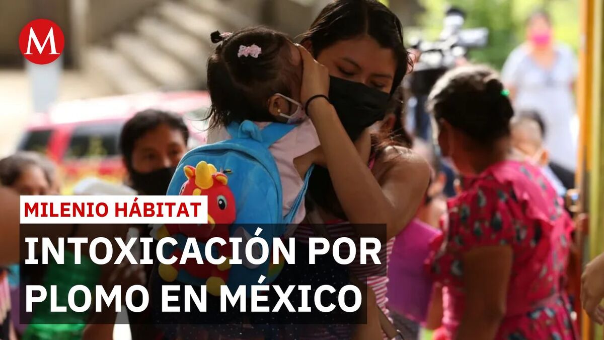 Alerta nacional: 1.2 millones de niños en México intoxicados por plomo | Milenio Hábitat
