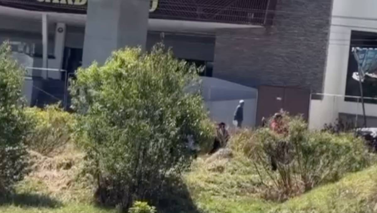 El agresor fue detenido en Avenida de Las Torres tras la denuncia por agresión sexual a un perro. | Foto: Especial