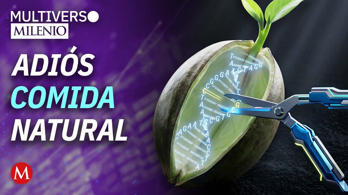 Edición genómica de semillas y diferencia con transgénicos