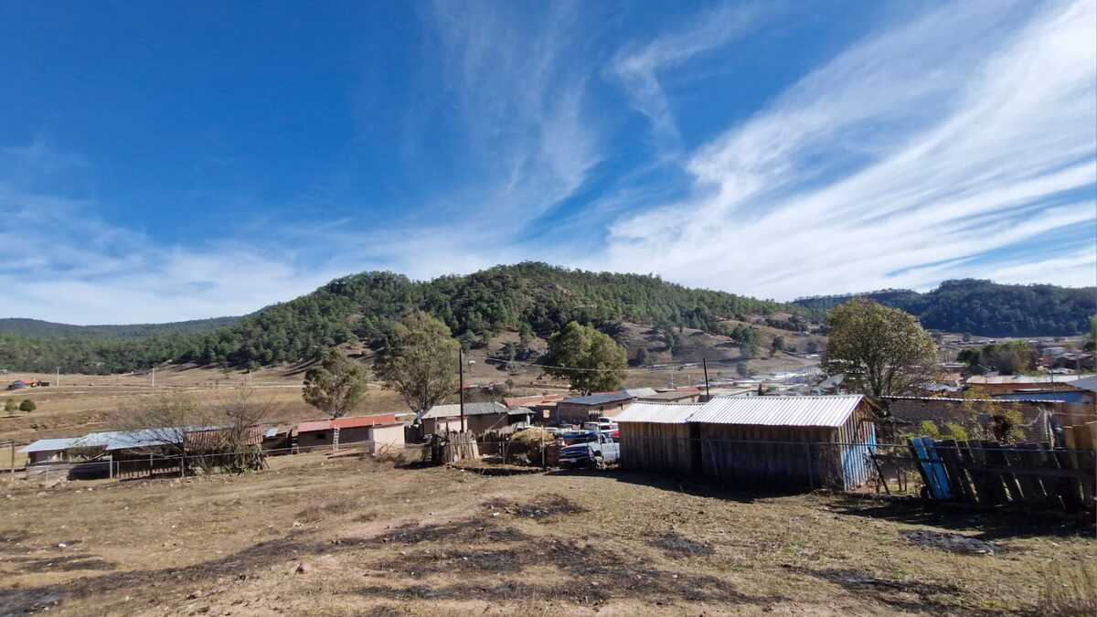 Dos incendios forestales permanecen activos en Durango. | Especial