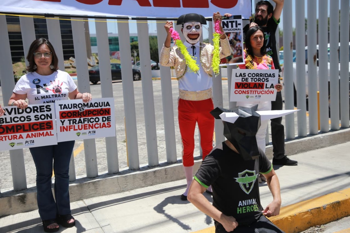 Con performance piden que diputados aprueben la prohibición de las corridas de toros en el estado de Hidalgo. (Jorge Sánchez)