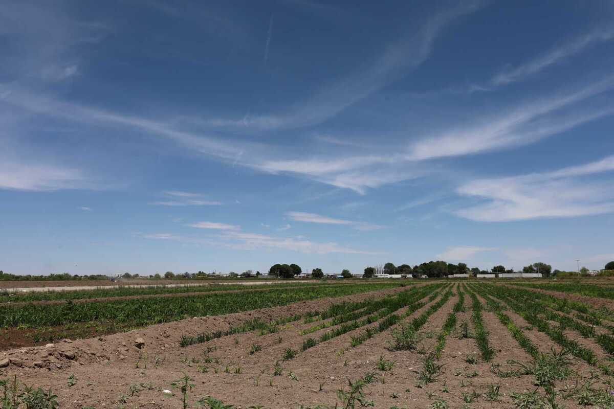 El 40% del territorio estatal presenta algún grado de afectación, con niveles que van de moderado a excepcional.| Verónica Rivera.