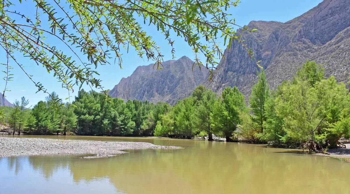 El Área Natural Protegida Cañón de Fernández se mantiene como el principal referente de biodiversidad de La Laguna. | Foto: