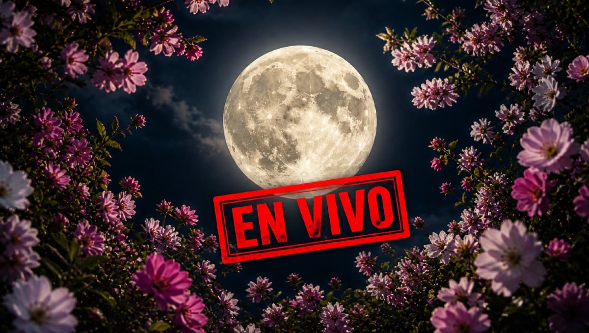La Luna Llena de Flores en 2026 alcanzará su plenitud HOY | IA DISCOVER