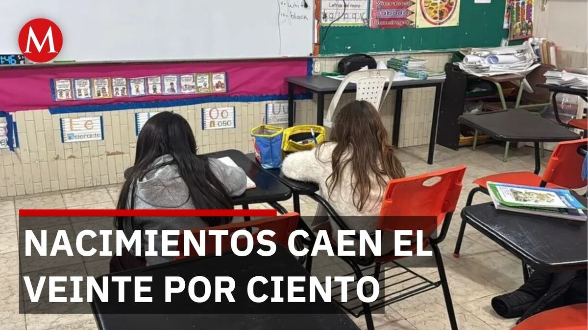 NEGI: Caen 20% los nacimientos y afecta a escuelas