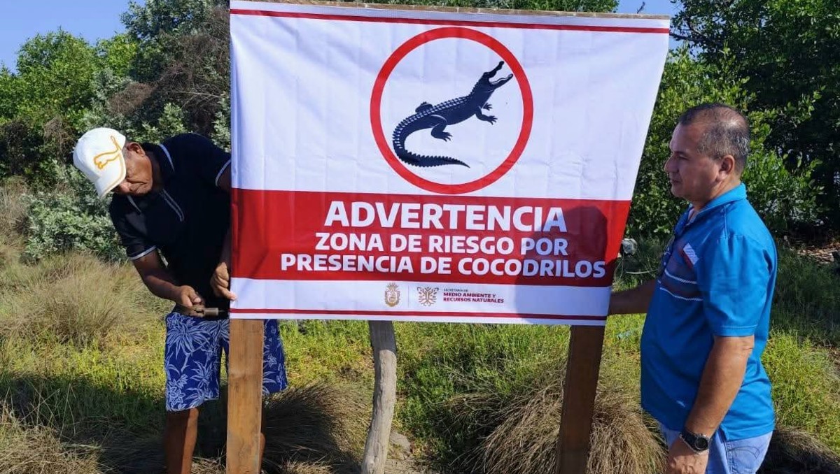 Alertan por cocodrilos en Guerrero; colocan señalética preventiva. | Foto: Miranda Mayo