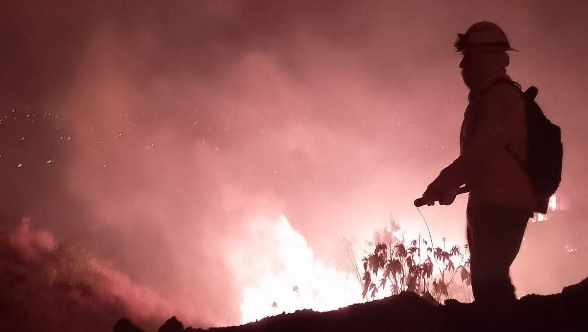 Brigadistas trabajan para contener el avance del fuego en distintas regiones del estado. | Foto: Especial