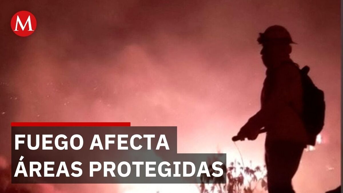 Seis incendios forestales activos en Oaxaca afectan áreas naturales protegidas