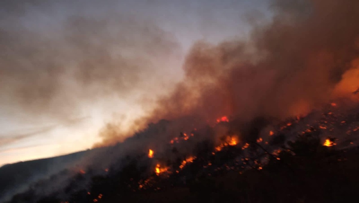 Incendios forestales en Oaxaca continúan activos en varias regiones. | Foto: Especial