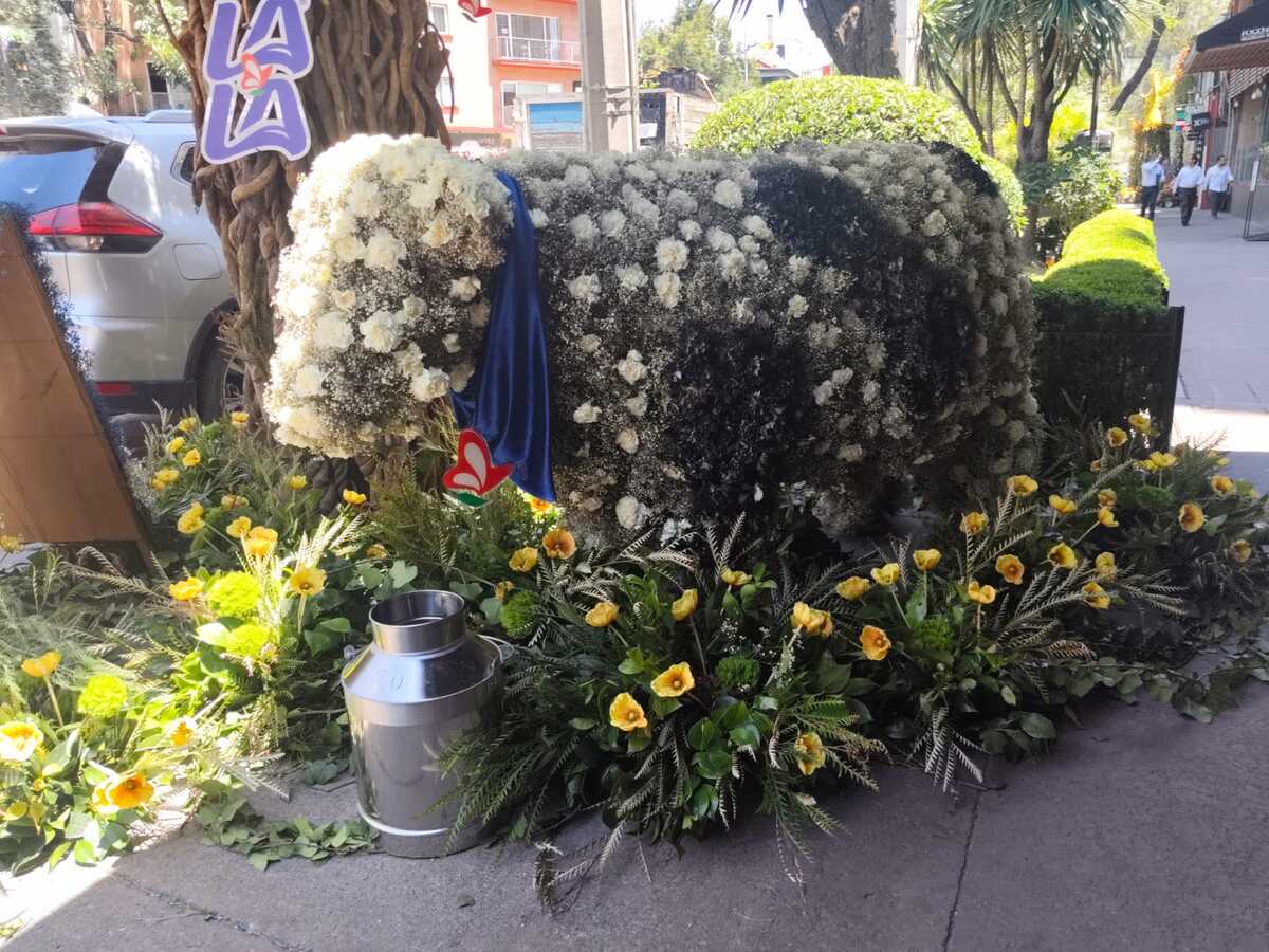 Lala y Catamundi sirven sus nuevas experiencias gastronómicas en el marco del Festival Flores  y Jardínes / Adriana Jiménez