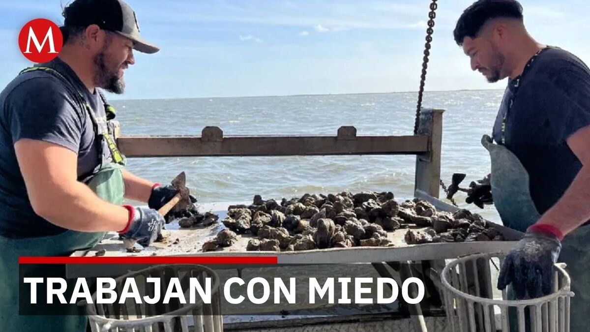 Mexicanos dominan industria del ostión en Luisiana