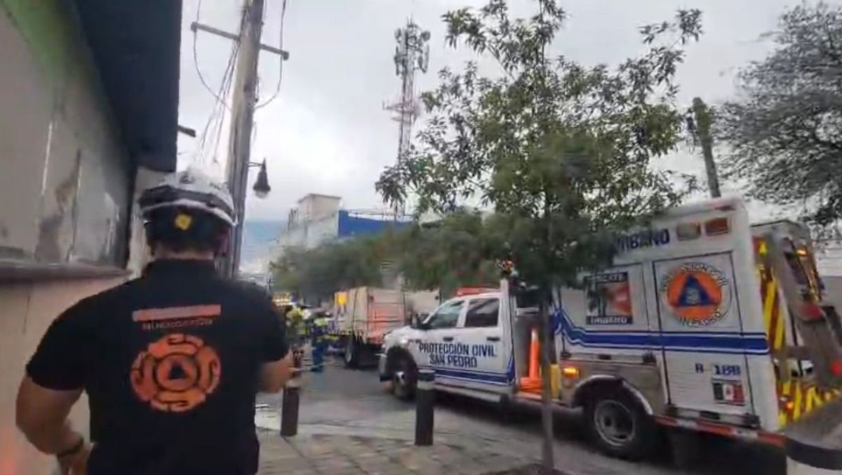 Un perro que se encontraba al interior fue rescatado | Especial