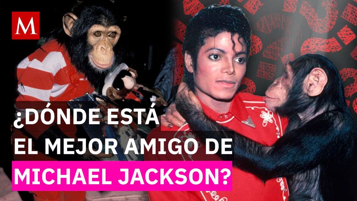 De Neverland al santuario: El destino de Bubbles tras la muerte de Michael Jackson