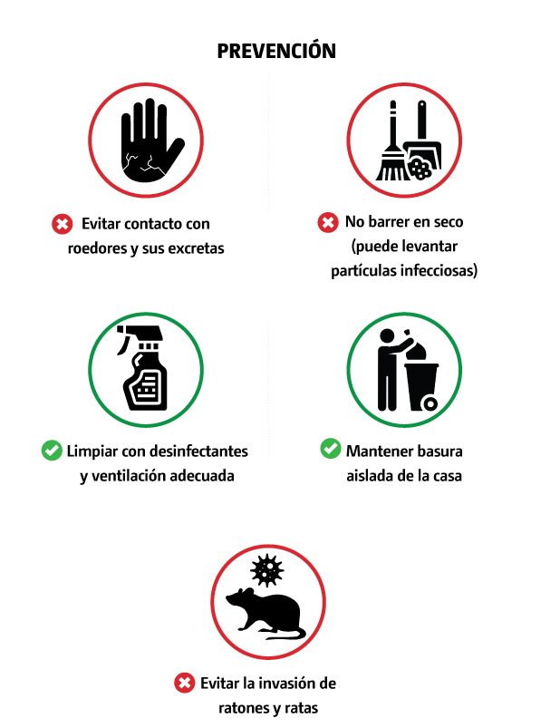 prevención hantavirus