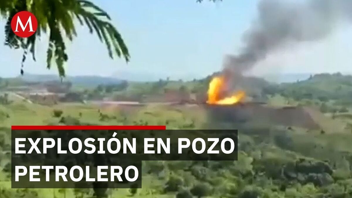 El gobierno minimiza el desastre ambiental en Las Choapas pese a la mortandad de especies