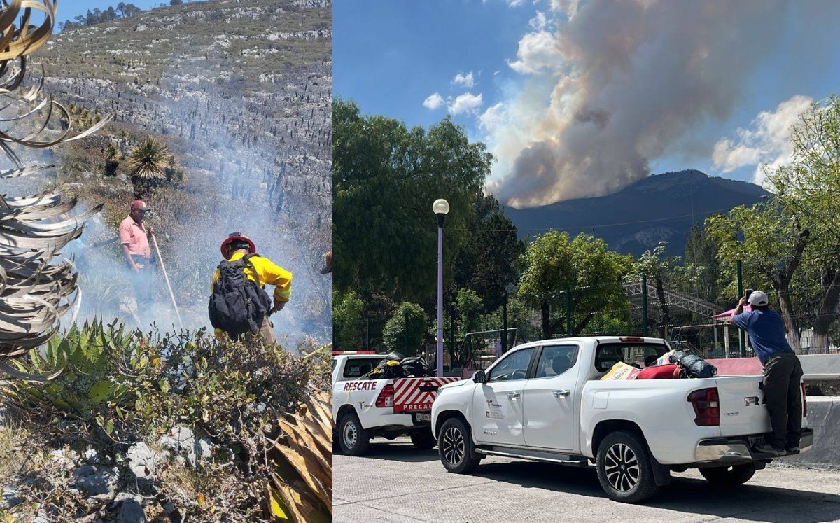 Incendio forestal consume hectáreas de bosque en Miquihuana. | PC