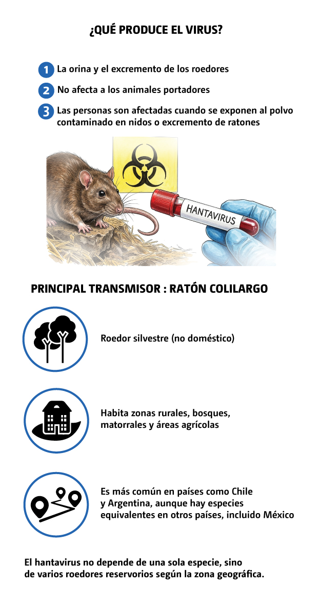 origen hantavirus