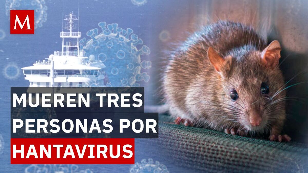 Tragedia en el MV Hondius: El virus que golpeó a un crucero tras partir de Argentina