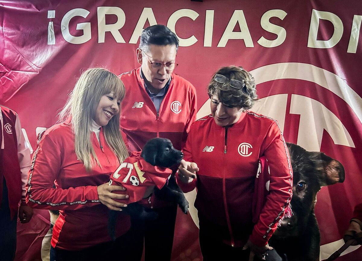 Únete a "La Mejor Jugada es Adoptar" durante el partido México vs. Serbia en Toluca. | Especial