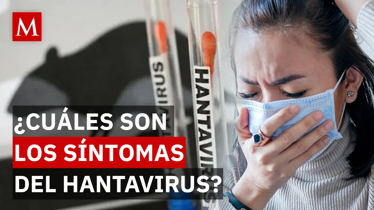 ¿Alerta sanitaria en México? Qué es el Hantavirus y por qué preocupa a autoridades