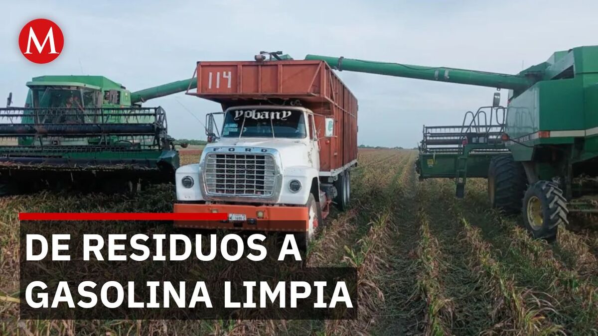 Bioetanol 2G y 3G: el combustible que usa residuos y algas para reemplazar al petróleo