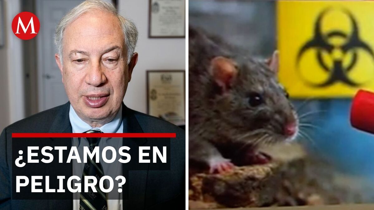 Expertos de la Universidad de Emory analizan la secuencia del virus en el crucero