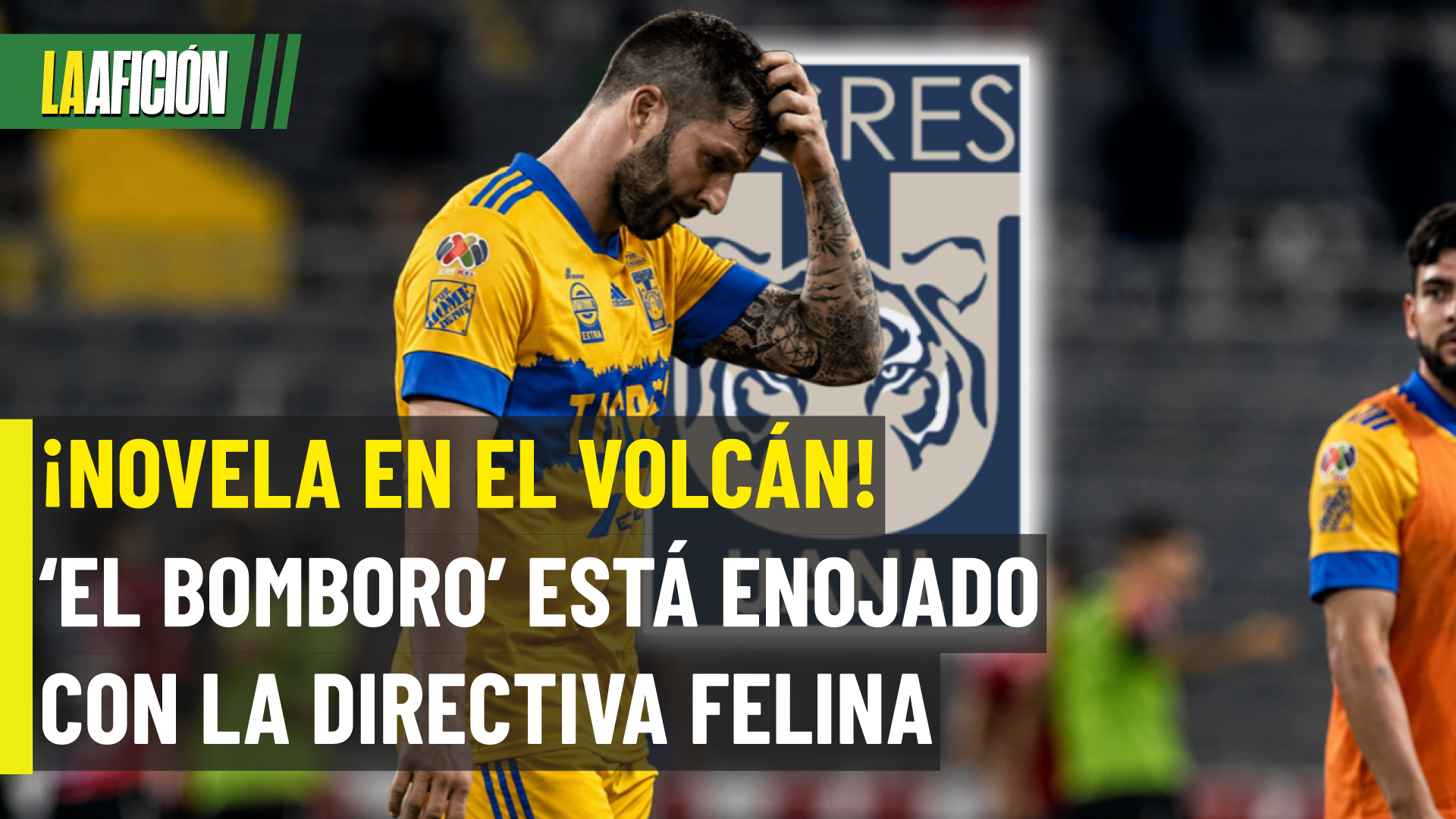 Gignac cortó comunicación con la directiva de Tigres y no se quiere ir