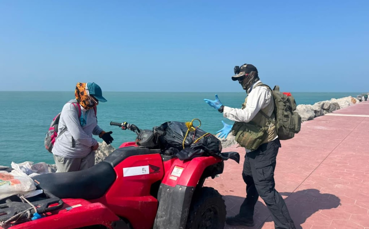 Hallan a tortuga lora muerta en playa Miramar. |